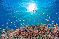 ベルトラ株式会社のプレスリリース画像1