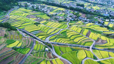 ベルトラ株式会社のプレスリリース画像1