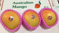 ベルトラ株式会社のプレスリリース画像1