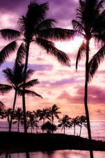 ベルトラ株式会社のプレスリリース画像1