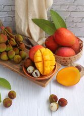 ベルトラ株式会社のプレスリリース画像1