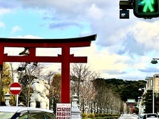 アモルフ株式会社のプレスリリース画像5