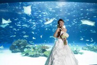 株式会社カヤックのプレスリリース画像4