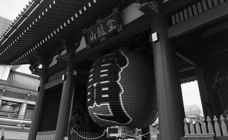 stglitzのプレスリリース画像3