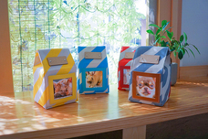 hanelcaのプレスリリース画像5