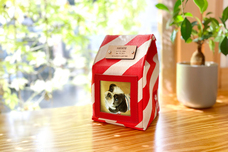 hanelcaのプレスリリース画像10