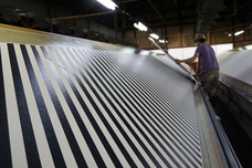 hanelcaのプレスリリース画像9