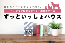 hanelcaのプレスリリース画像7