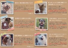 株式会社ハグオールのプレスリリース画像2