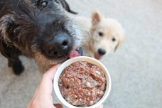 株式会社ハグオールのプレスリリース画像8