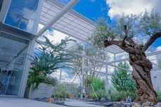 株式会社アルブルのプレスリリース画像1