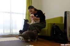 Hana室内ドッグランのプレスリリース画像5