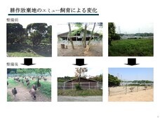 日本エコシステム株式会社のプレスリリース画像1