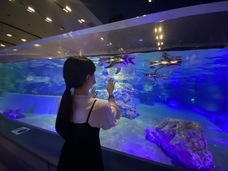 すみだペンギンファンクラブ PR 事務局のプレスリリース画像3