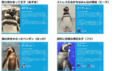 すみだペンギンファンクラブ PR 事務局のプレスリリース画像5