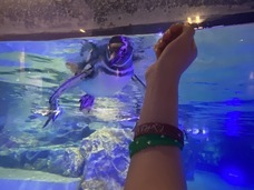 すみだペンギンファンクラブ PR 事務局のプレスリリース画像1