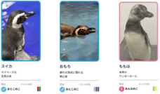 すみだペンギンファンクラブ PR 事務局のプレスリリース画像4