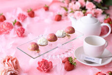 みなとみらいPRセンターのプレスリリース画像5