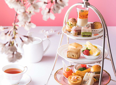 みなとみらいPRセンターのプレスリリース画像1