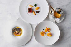 みなとみらいPRセンターのプレスリリース画像1