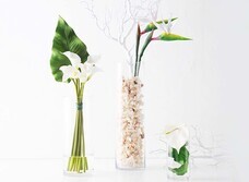 みなとみらいPRセンターのプレスリリース画像5