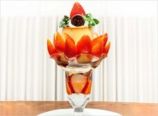 みなとみらいPRセンターのプレスリリース画像8