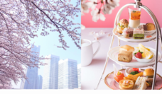 みなとみらいPRセンターのプレスリリース画像1