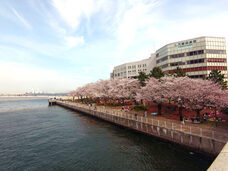 みなとみらいPRセンターのプレスリリース画像4