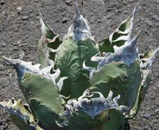 みなとみらいPRセンターのプレスリリース画像1