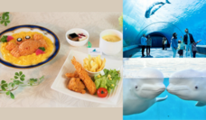 みなとみらいPRセンターのプレスリリース画像5