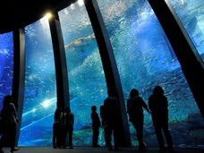 みなとみらいPRセンターのプレスリリース画像4