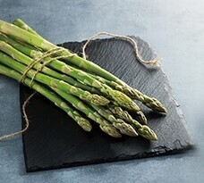 みなとみらいPRセンターのプレスリリース画像12