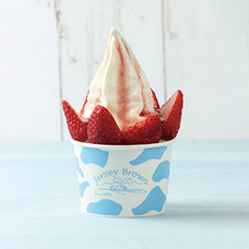 みなとみらいPRセンターのプレスリリース画像17