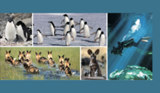 みなとみらいPRセンターのプレスリリース画像2