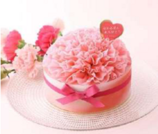 みなとみらいPRセンターのプレスリリース画像14