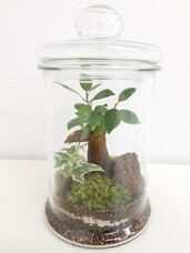 みなとみらいPRセンターのプレスリリース画像4