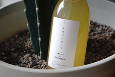 みなとみらいPRセンターのプレスリリース画像11