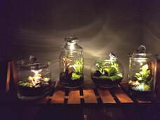 みなとみらいPRセンターのプレスリリース画像6