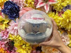 みなとみらいPRセンターのプレスリリース画像1