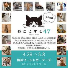 みなとみらいPRセンターのプレスリリース画像3