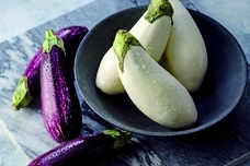 みなとみらいPRセンターのプレスリリース画像4