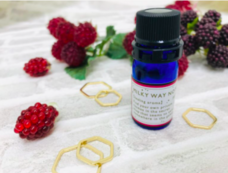 みなとみらいPRセンターのプレスリリース画像1