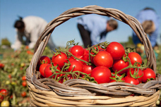 みなとみらいPRセンターのプレスリリース画像6