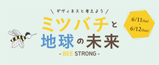 みなとみらいPRセンターのプレスリリース画像5