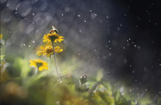 みなとみらいPRセンターのプレスリリース画像1