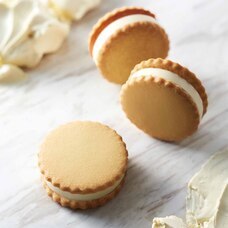 みなとみらいPRセンターのプレスリリース画像15