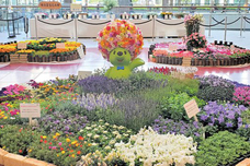 みなとみらいPRセンターのプレスリリース画像1