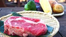 みなとみらいPRセンターのプレスリリース画像5