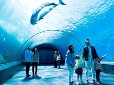 みなとみらいPRセンターのプレスリリース画像5