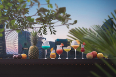 みなとみらいPRセンターのプレスリリース画像2